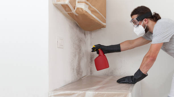 Attic Mold Remediation treatment on roof deck in Woodridge